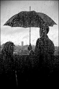 19504_rain man.jpg